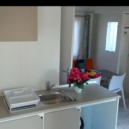Camping Mobil Home, Animaux Admis - 2 Pers. - Api-1-52-2667 Saint-Florent (Corsica)